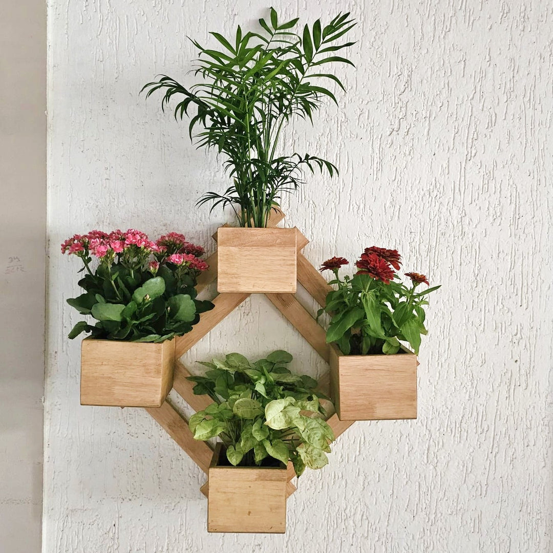 Wall Mounted Planter - Diamond