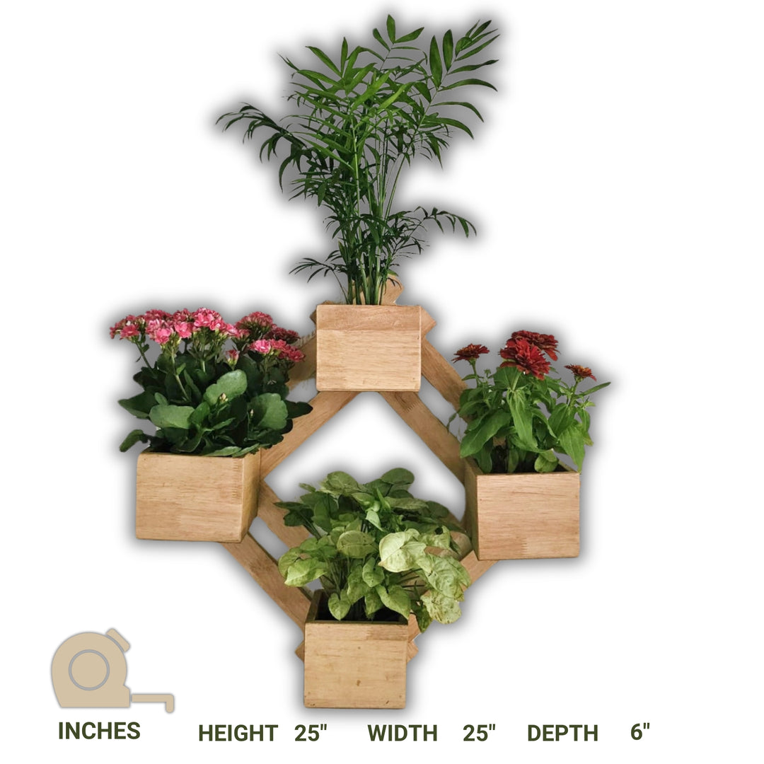 Wall Mounted Planter - Diamond