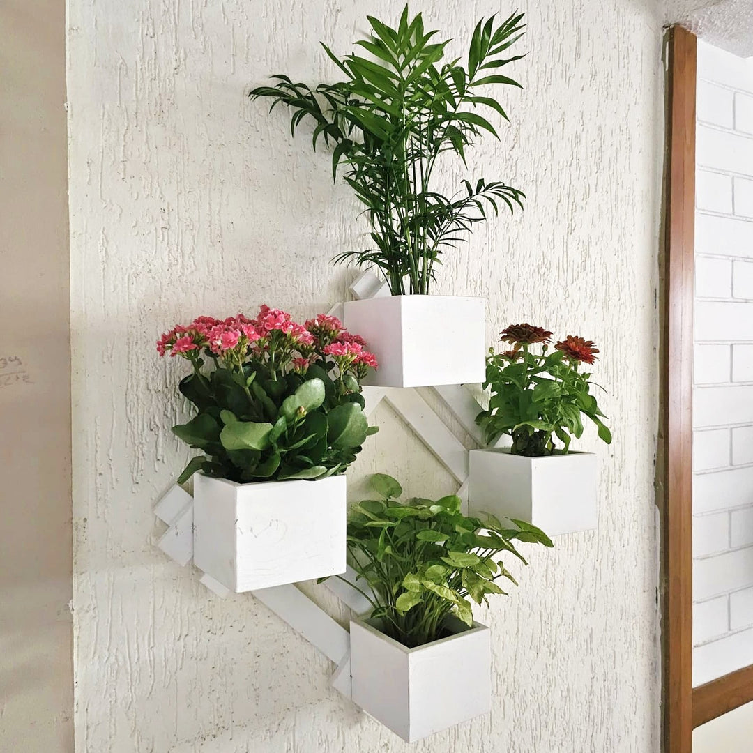 Wall Mounted Planter - Diamond