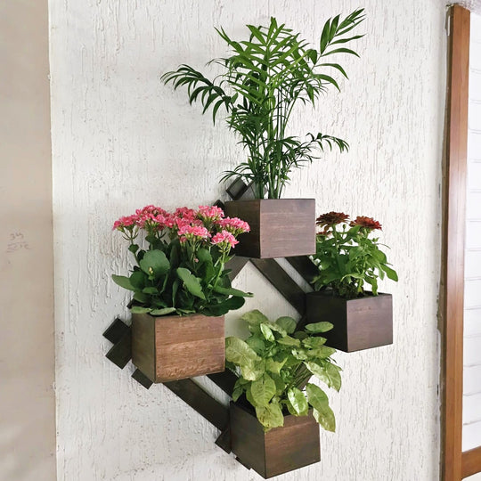 Wall Mounted Planter - Diamond