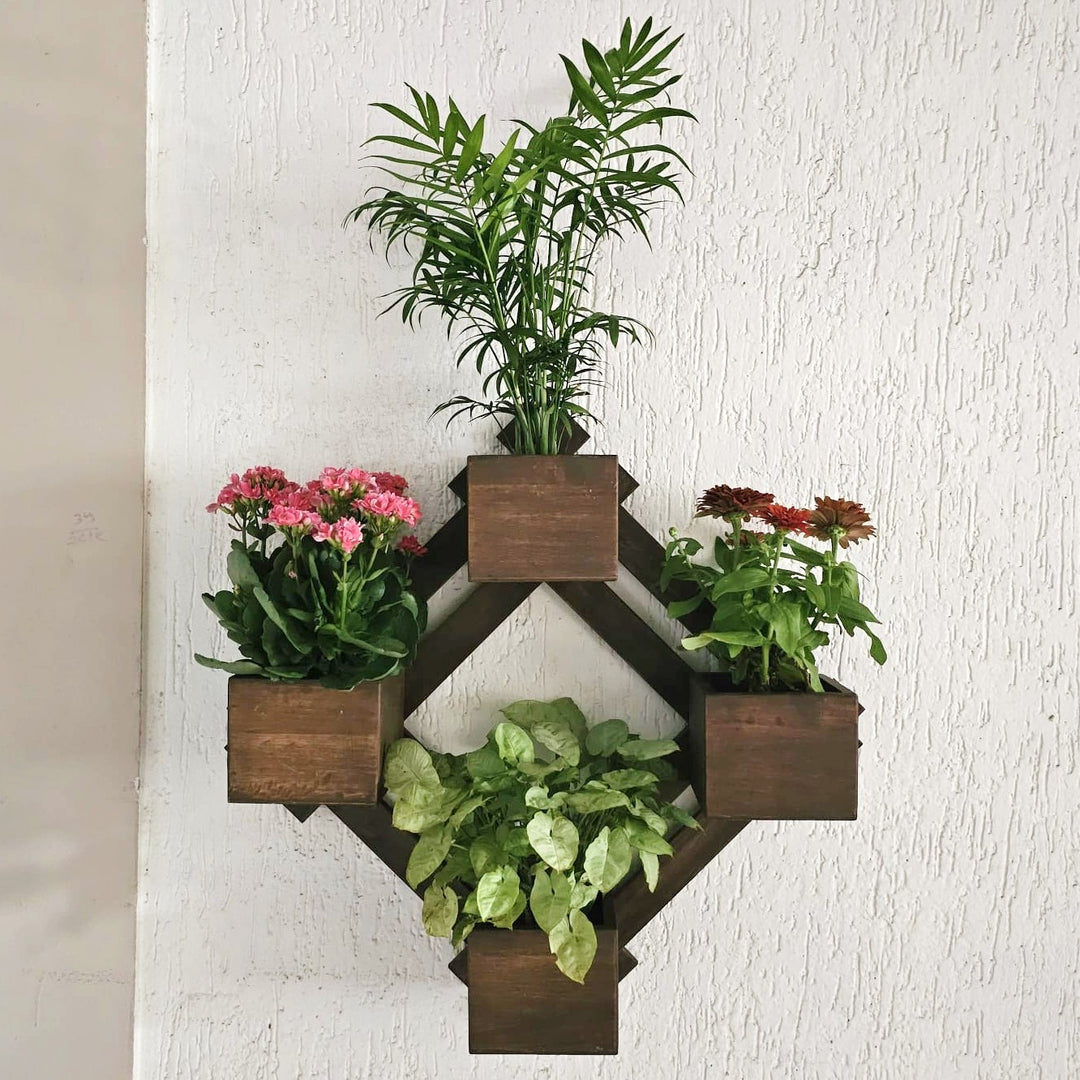 Wall Mounted Planter - Diamond