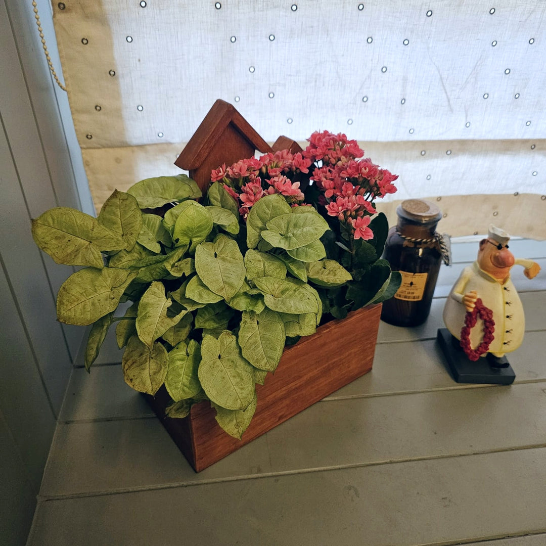 Planter Table Top (3 House)