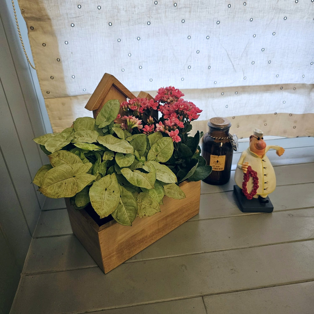 Planter Table Top (3 House)