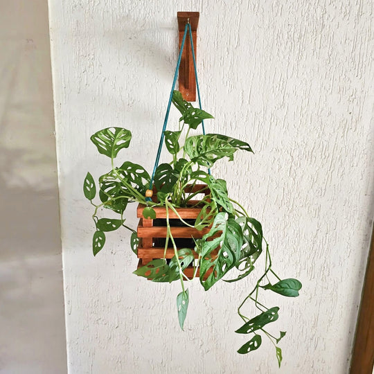 Wall Mounted Planter Stand -  Handcrafted with Single Plant Holder Stand - Square Shaped Planter For Indoor Plant Pots Stock