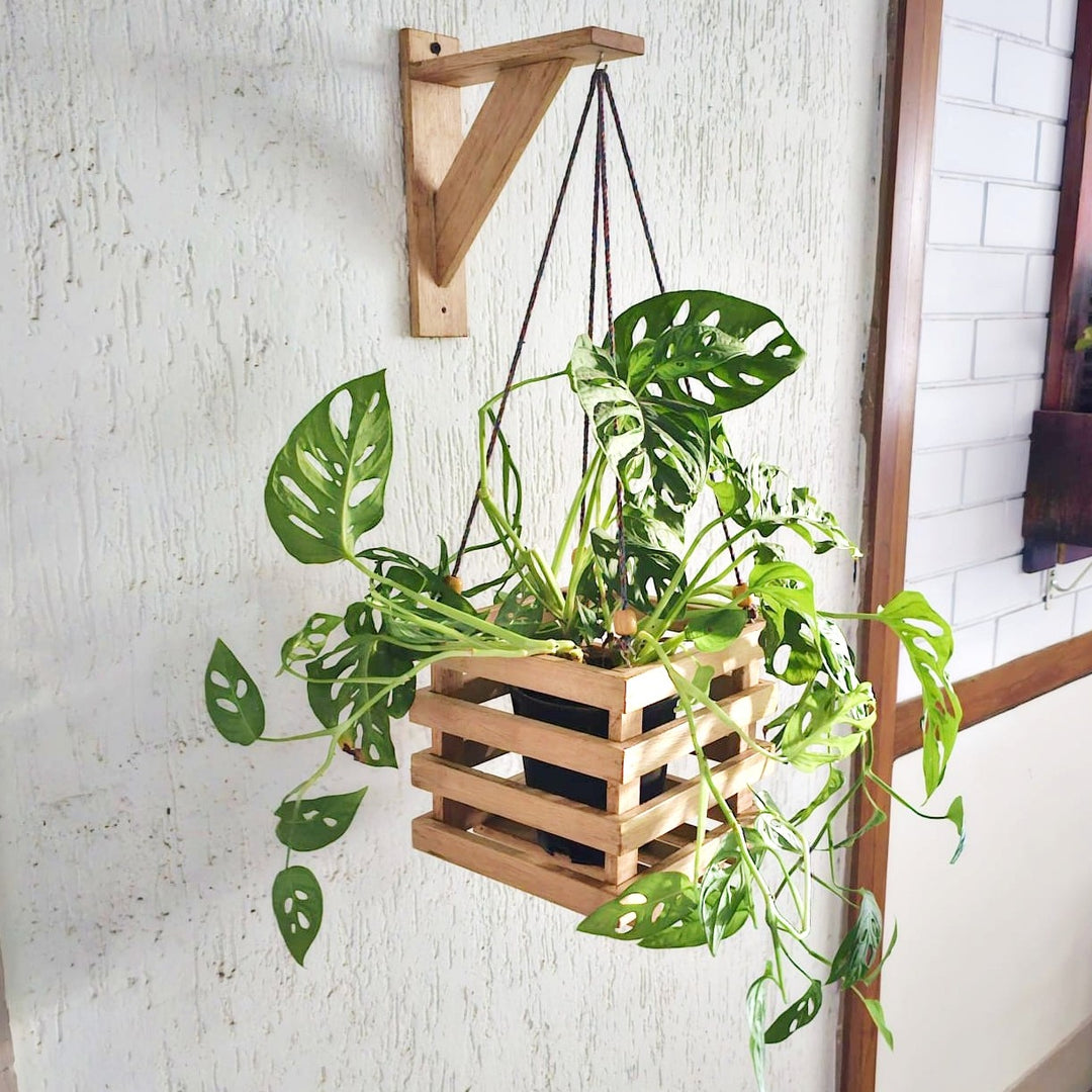 Wall Mounted Planter Stand -  Handcrafted with Single Plant Holder Stand - Square Shaped Planter For Indoor Plant Pots