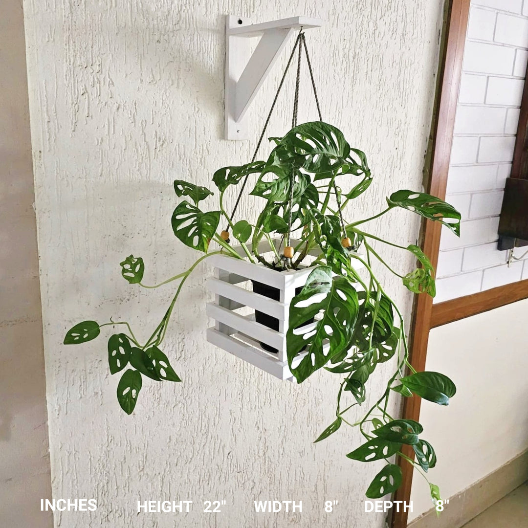 Wall Mounted Planter Stand -  Handcrafted with Single Plant Holder Stand - Square Shaped Planter For Indoor Plant Pots Stock