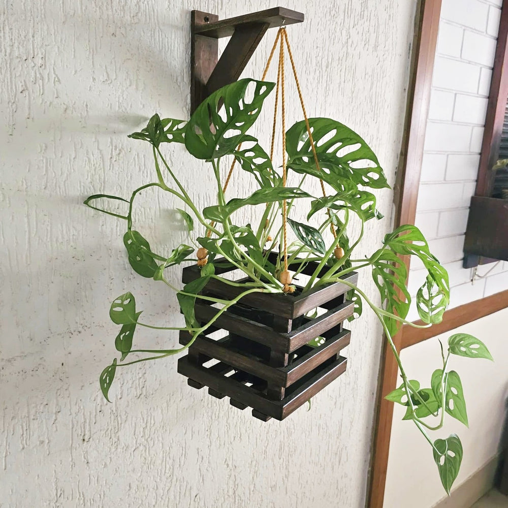 <img src="wall-mounted-planter-square.jpg" alt="Square wall-mounted hanging planter, perfect for displaying plants and adding a stylish touch to your home decor.">