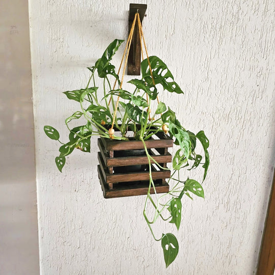 <img src="wall-mounted-planter-square.jpg" alt="Square wall-mounted hanging planter, perfect for displaying plants and adding a stylish touch to your home decor.">