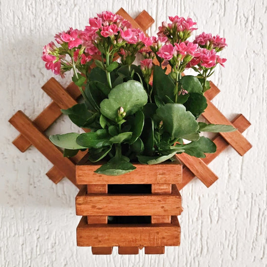 Wall Mounted Planter Stand -  Handcrafted with Single Plant Holder Stand - Diamond Shaped Planter For Indoor Plant Pots