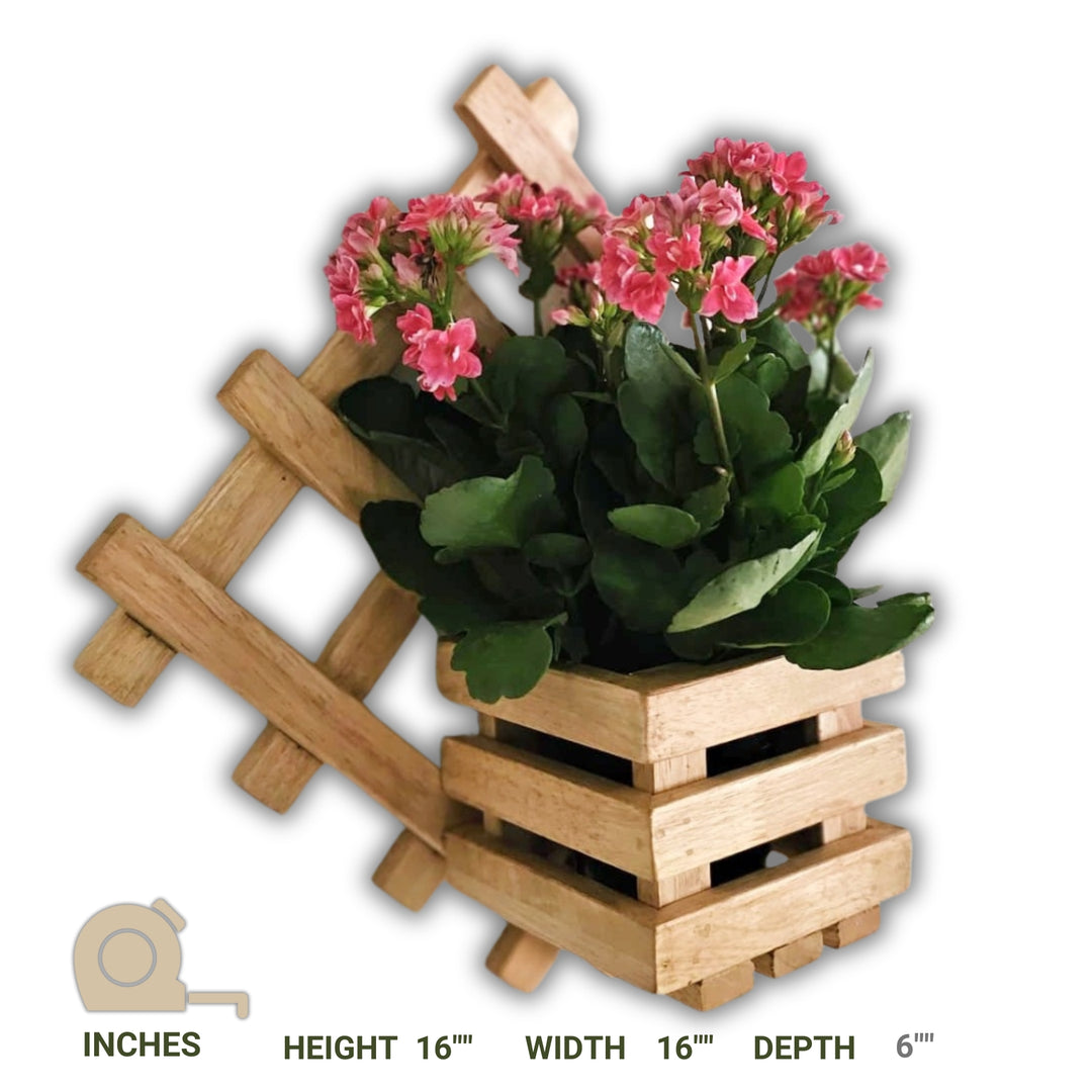 Wall Mounted Planter Stand -  Handcrafted with Single Plant Holder Stand - Diamond Shaped Planter For Indoor Plant Pots