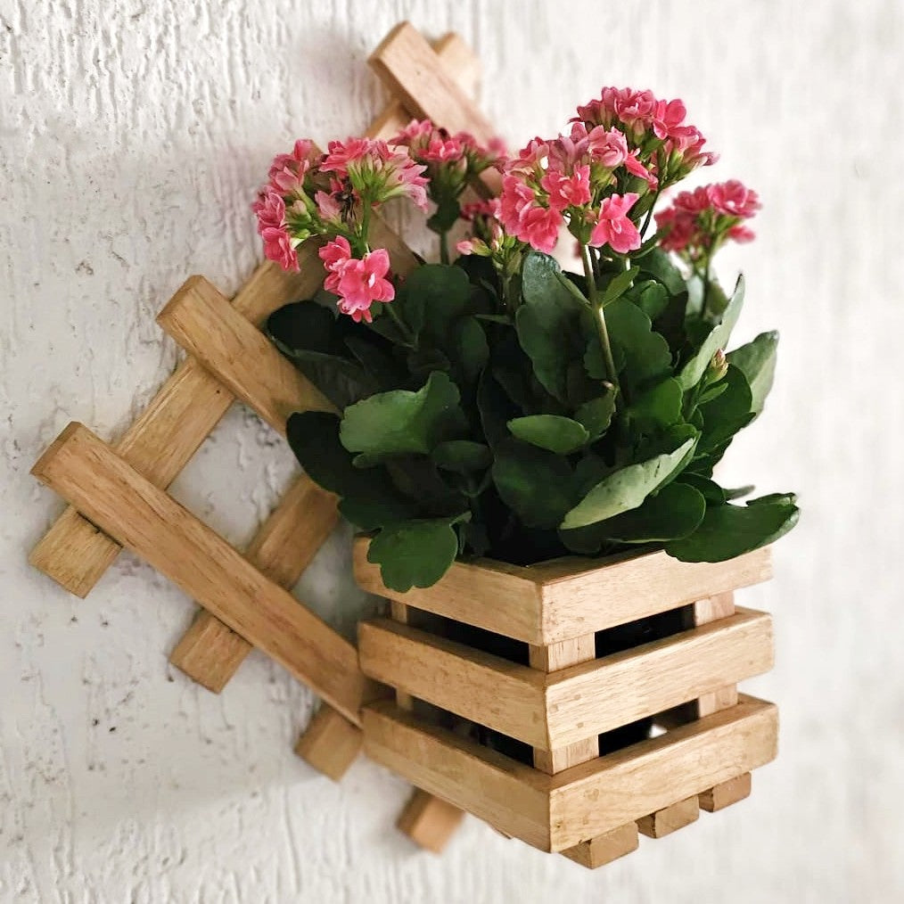 Wall Mounted Planter - Diamond Single