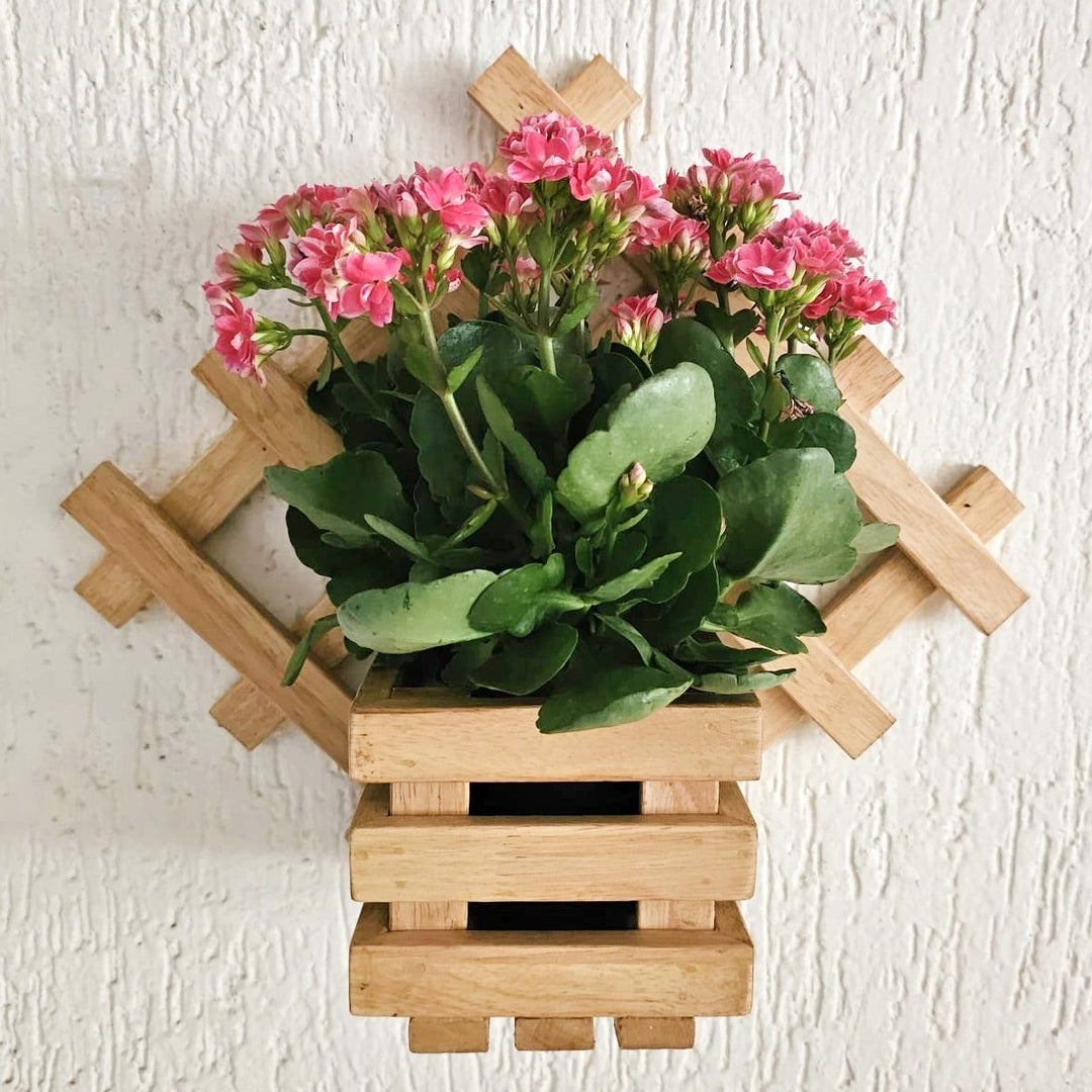 Wall Mounted Planter Stand -  Handcrafted with Single Plant Holder Stand - Diamond Shaped Planter For Indoor Plant Pots