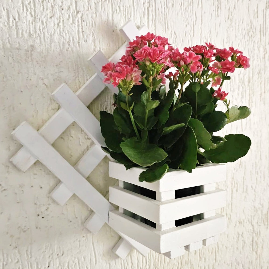 Wall Mounted Planter - Diamond Single