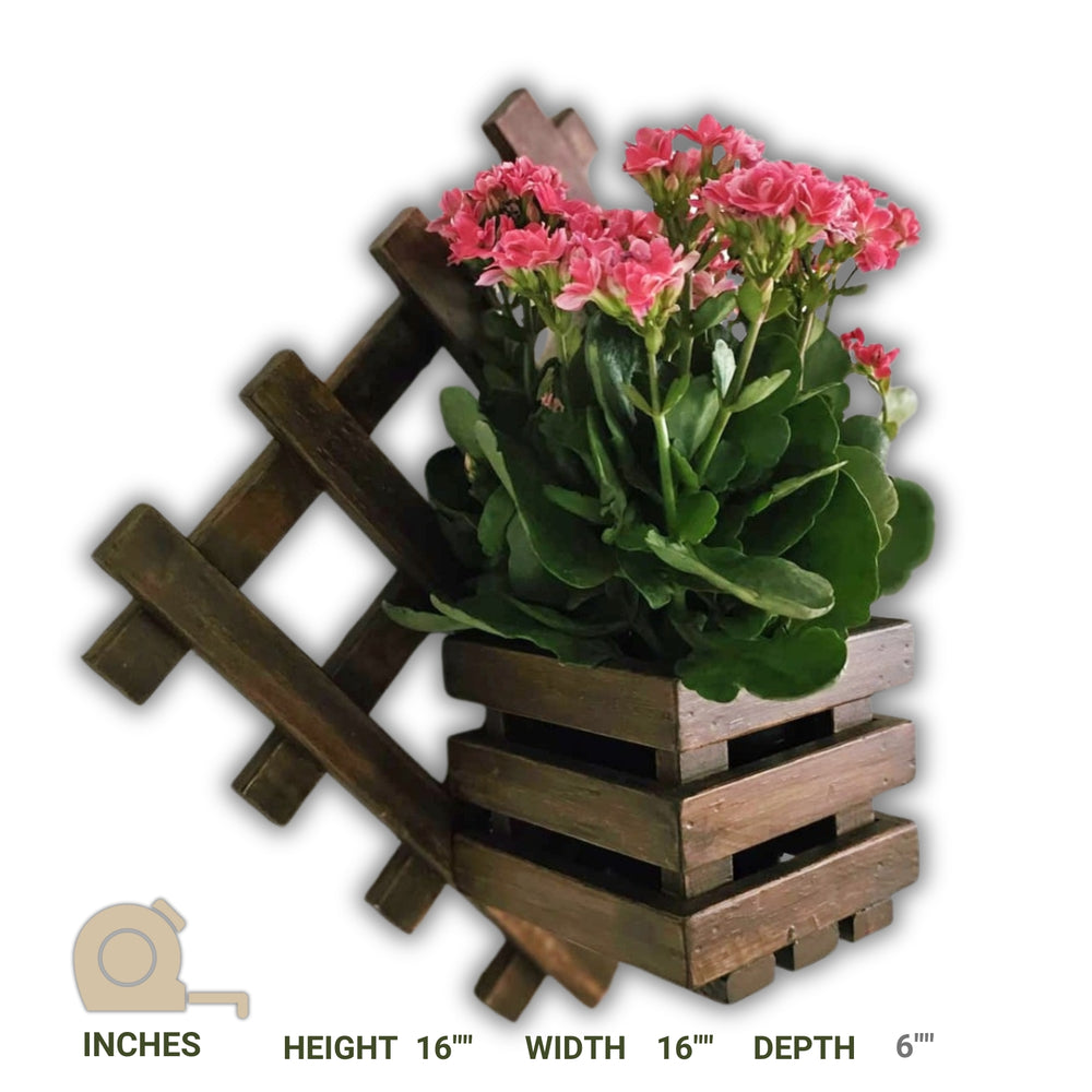 Wall Mounted Planter - Diamond Single