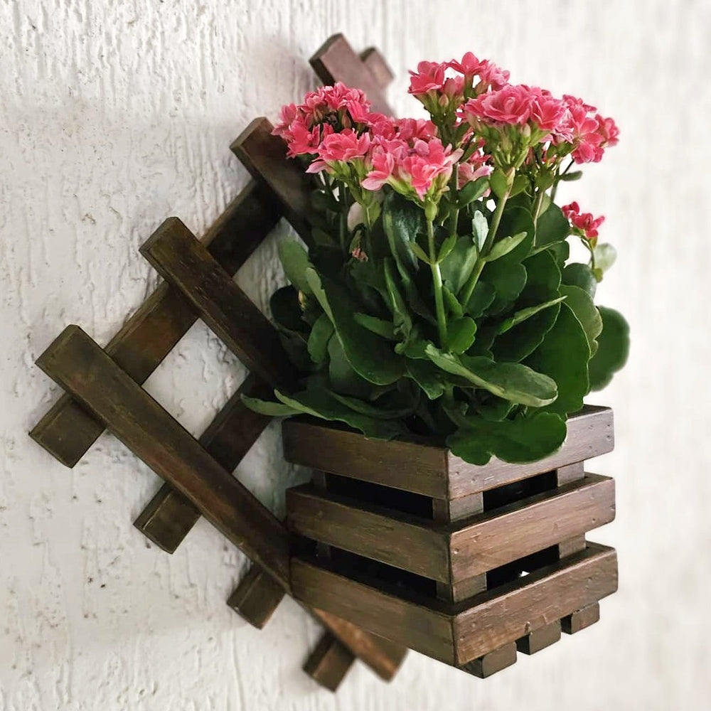 <img src="wall-mounted-planter-diamond-single.jpg" alt="Stylish diamond-shaped wall-mounted planter for adding a modern touch to your space.">