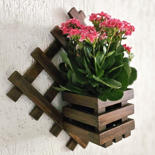 Wall Mounted Planter - Diamond Single