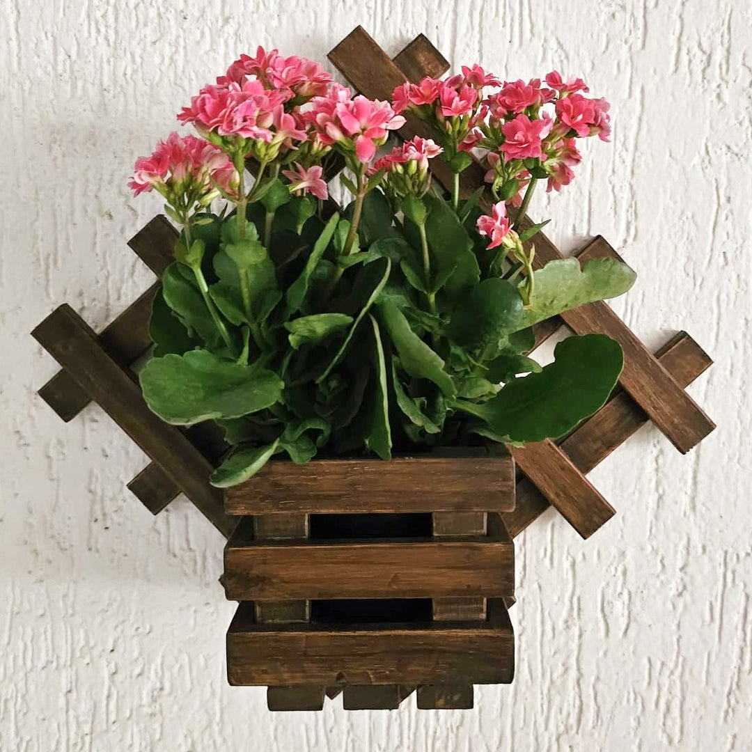 <img src="wall-mounted-planter-diamond-single.jpg" alt="Stylish diamond-shaped wall-mounted planter for adding a modern touch to your space.">