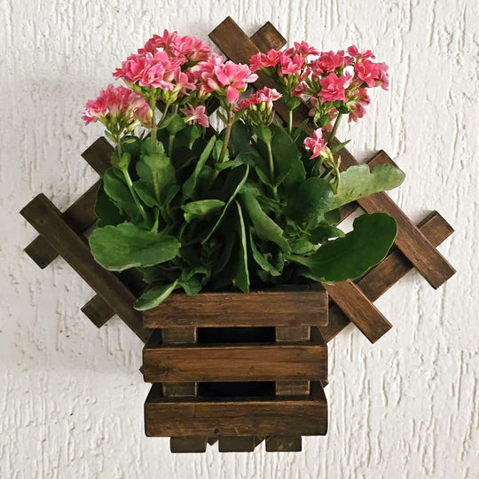 Wall Mounted Planter - Diamond Single