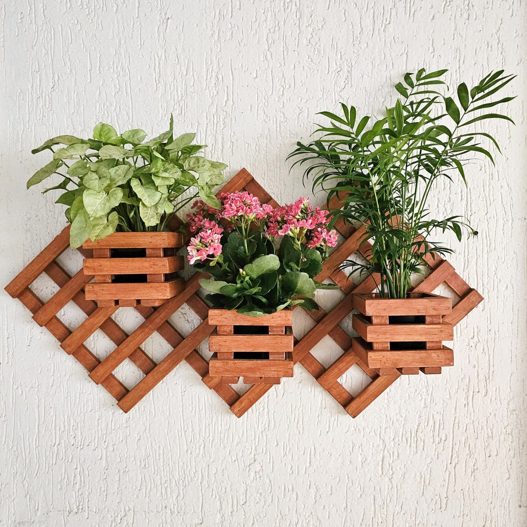 Wall Mounted Planter - 3 Square