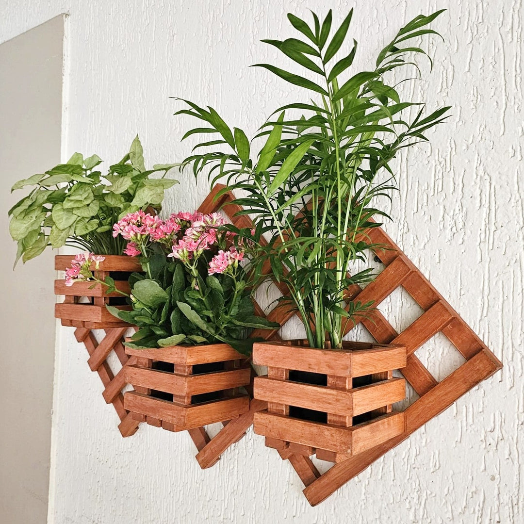 Wall Mounted Planter Stand -  Handcrafted with 3 Plant Holder Stand - For Indoor Plant Pots Stock