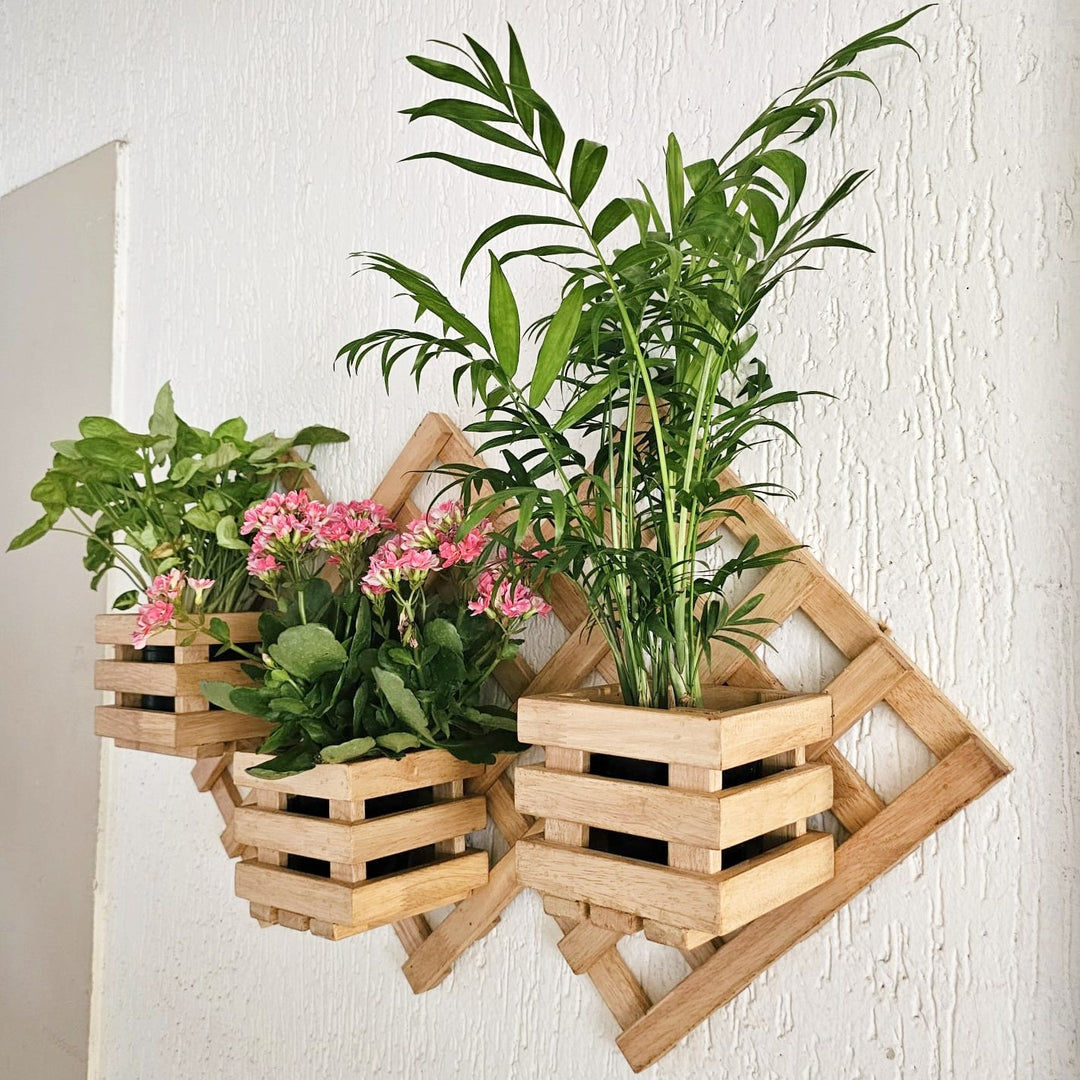 Wall Mounted Planter Stand -  Handcrafted with 3 Plant Holder Stand - For Indoor Plant Pots