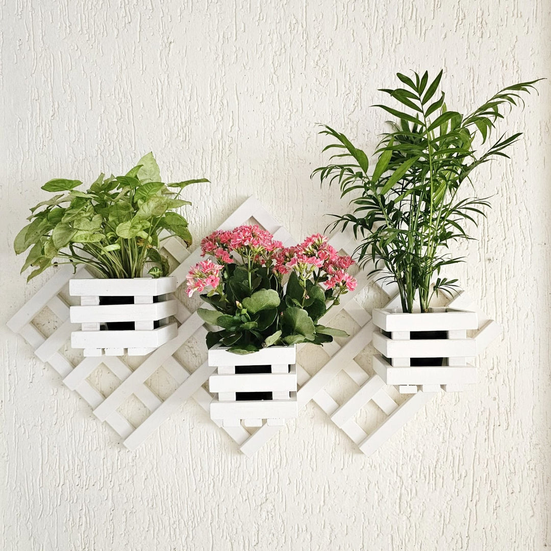 Wall Mounted Planter Stand -  Handcrafted with 3 Plant Holder Stand - For Indoor Plant Pots