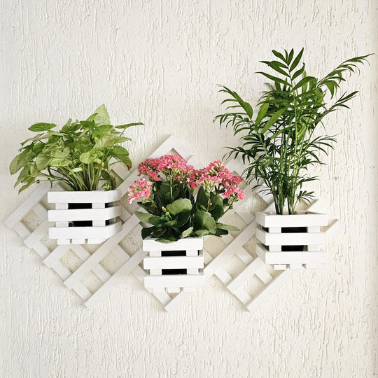 Wall Mounted Planter - 3 Square