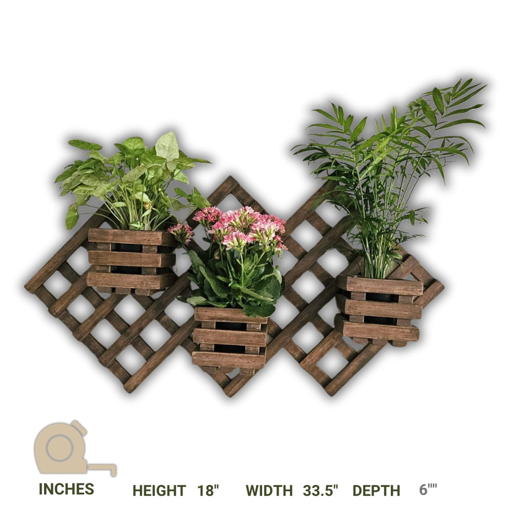 Wall Mounted Planter - 3 Square