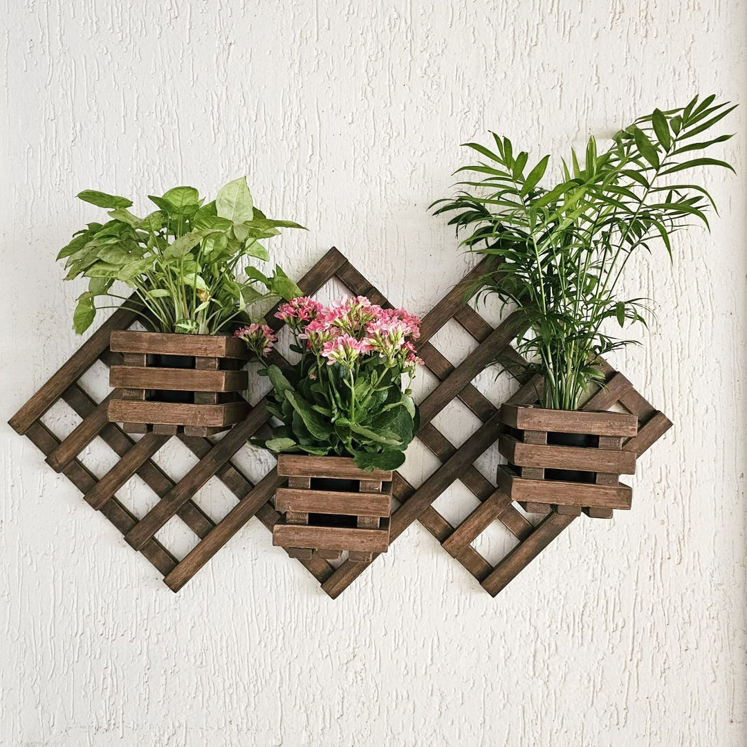 Wall Mounted Planter - 3 Square