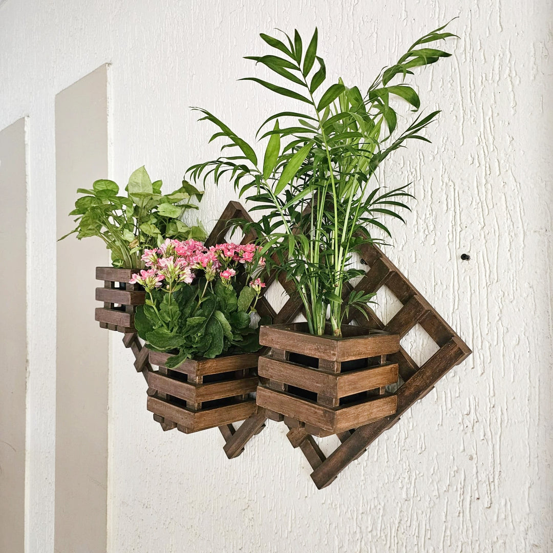 Wall Mounted Planter Stand -  Handcrafted with 3 Plant Holder Stand - For Indoor Plant Pots