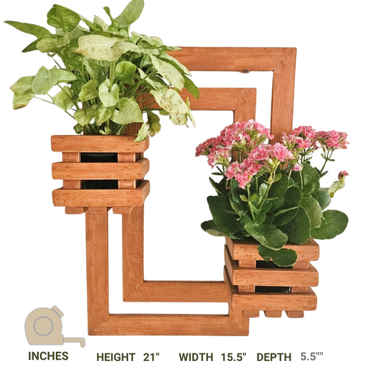 Wall Mounted Planter- Handcrafted Planter with 2 Planter Space  - For Living Room and Balcony