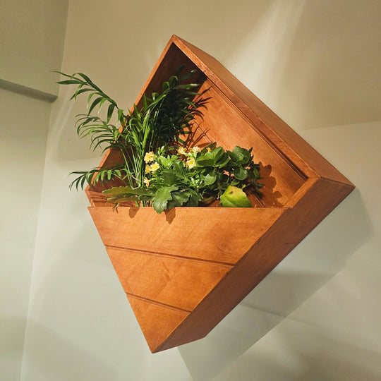 Wall Mounted Planter Stand -  Square  Box with 3 Plant Holder - Perfect for Indoor and Outdoor Space