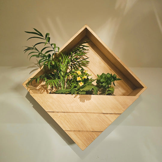 Wall Mounted Planter Stand -  Square  Box with 3 Plant Holder - Perfect for Indoor and Outdoor Space