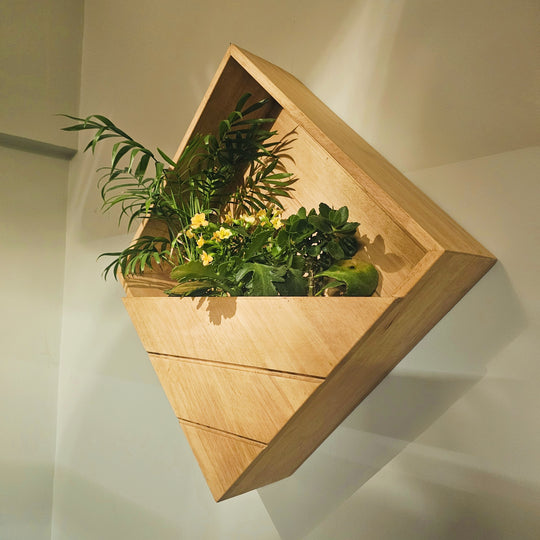 Wall Mounted Planter Stand -  Square  Box with 3 Plant Holder - Perfect for Indoor and Outdoor Space