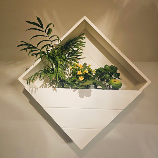 Wall Mounted Planter Stand -  Square  Box with 3 Plant Holder - Perfect for Indoor and Outdoor Space