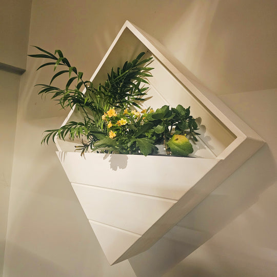 Wall Mounted Planter Stand -  Square  Box with 3 Plant Holder - Perfect for Indoor and Outdoor Space