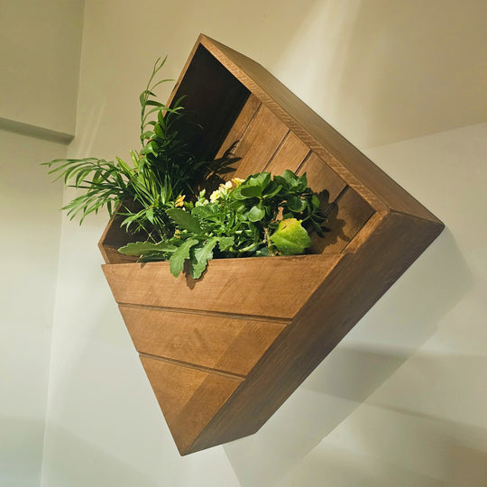 Wall Mounted Planter Stand -  Square  Box with 3 Plant Holder - Perfect for Indoor and Outdoor Space