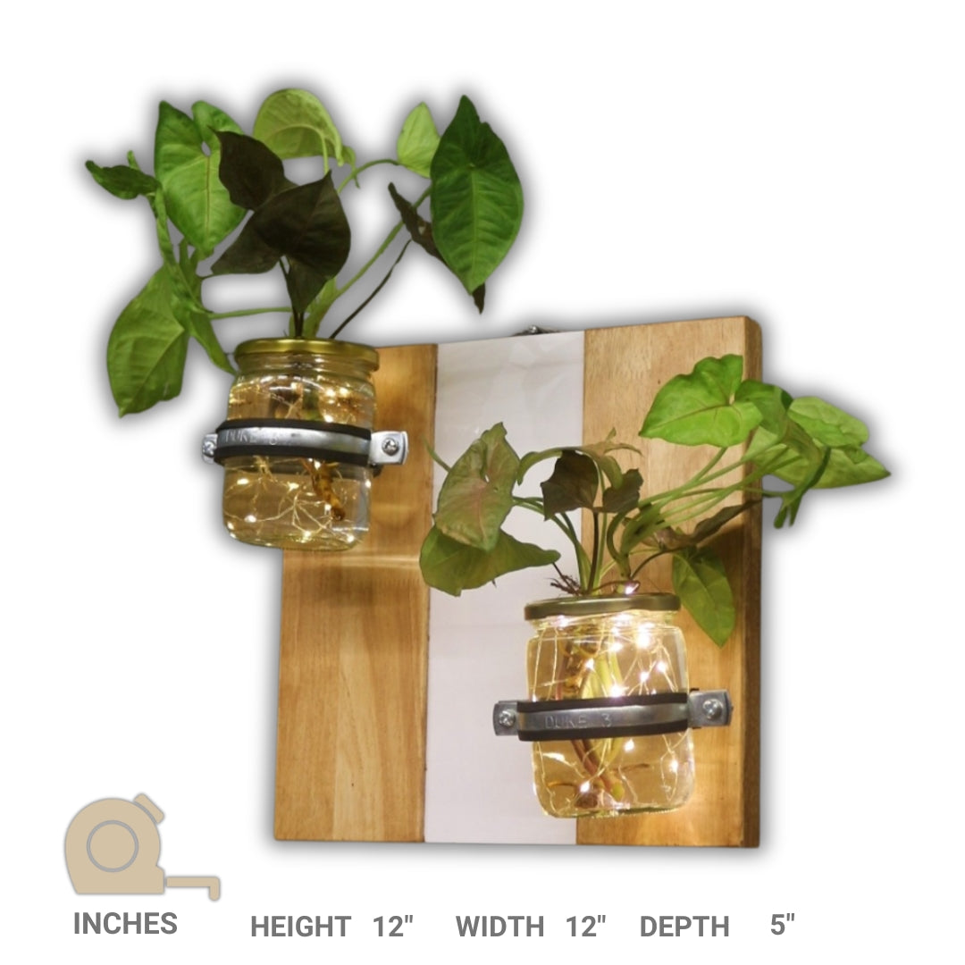 Wall Mounted Planter-Set of 2 Jars