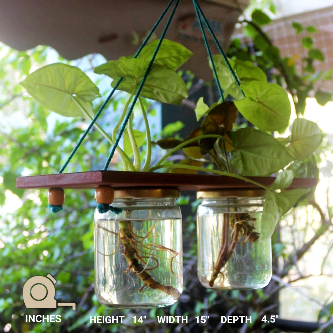 Hanging Planter (Set of 2 Mason Jar)