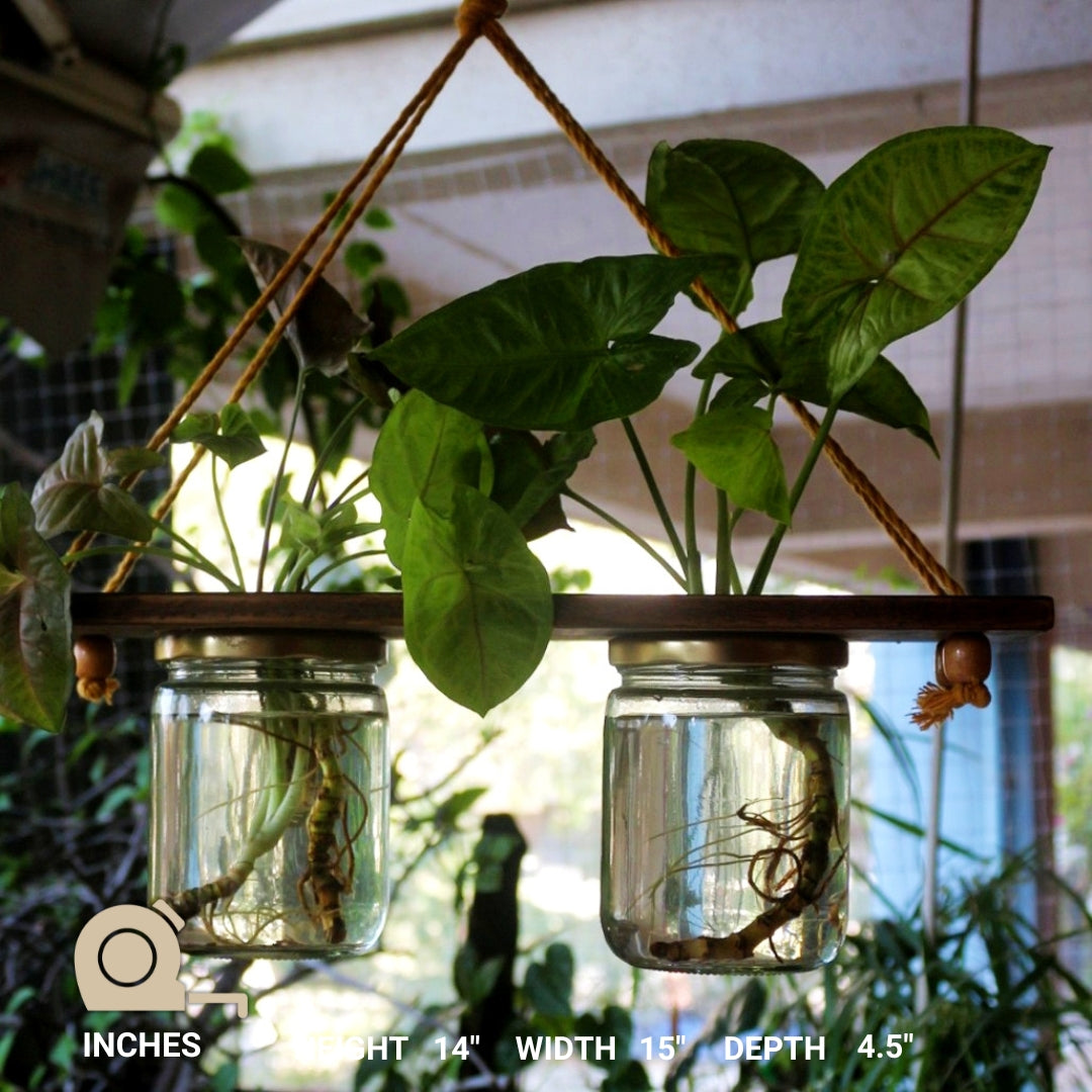 Hanging Planter (Set of 2 Mason Jar)