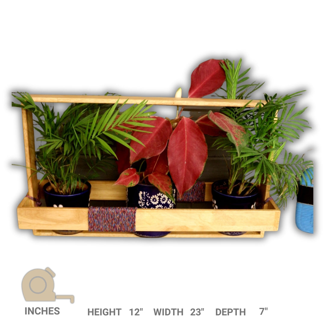 Table Top Wooden Planter for Interior and Exterior - Wooden Planter Handcrafted with Rubberwood