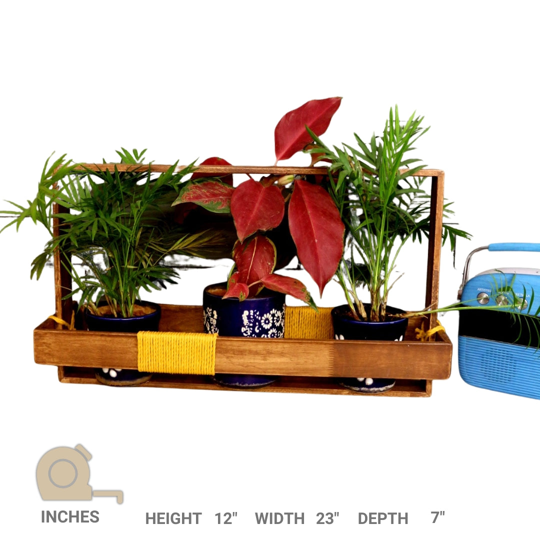 Table Top Wooden Planter for Interior and Exterior - Wooden Planter Handcrafted with Rubberwood