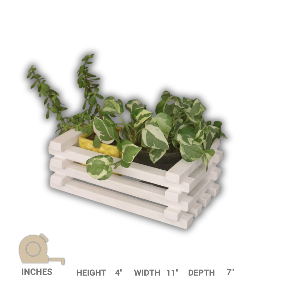 Table Top Planter - Handcrafted Wooden Planter - For Indoor Decoration - Compact and Versatile Design for Any Spaces