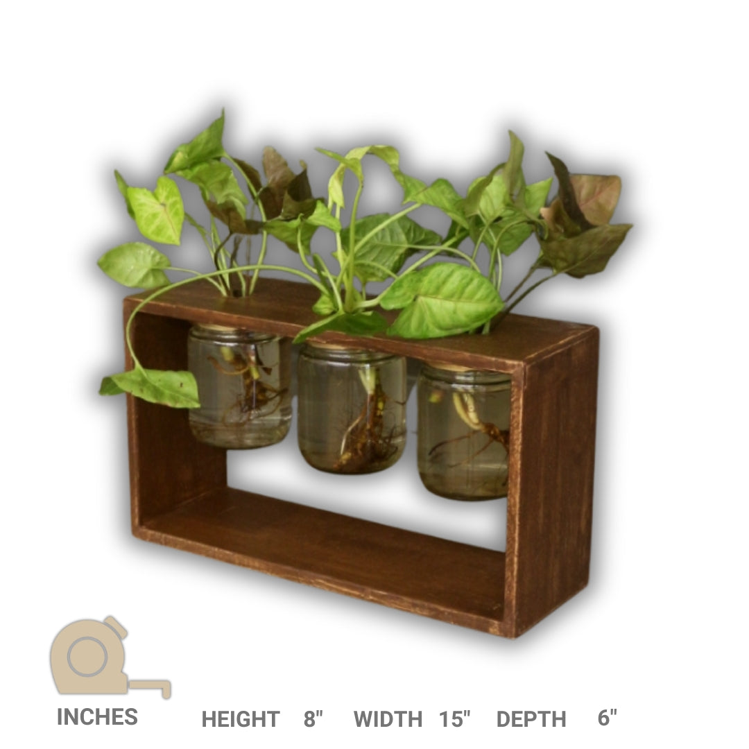 Wooden Plant Holder with 3 Glass Mason Jars - Table top planter - Handcrafted with Rubberwood -  (Set of 3)