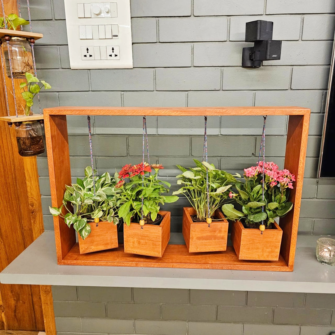 Planter Table Top (4 Hanging)