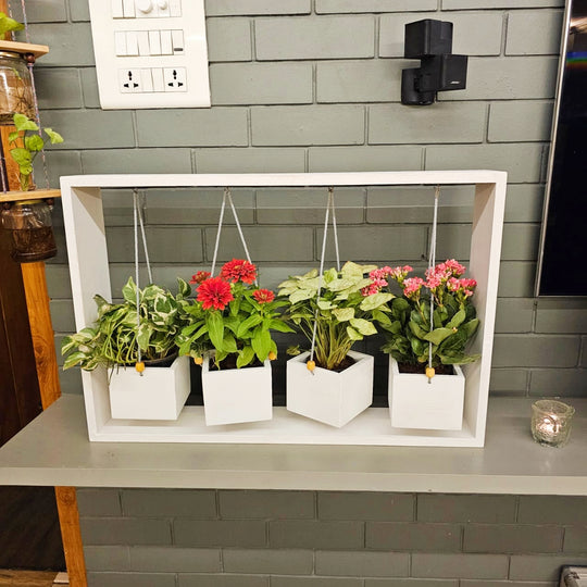 Planter Table Top (4 Hanging)