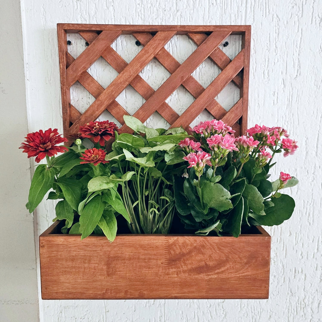 Wall Mounted Planter - Single Square