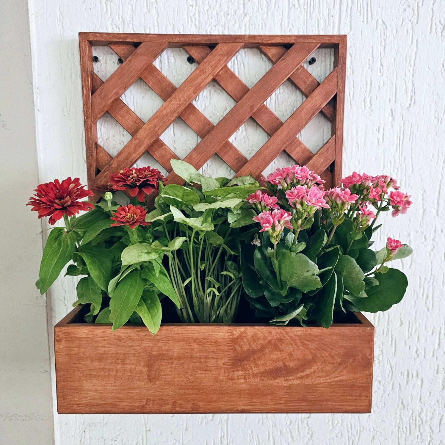 <img src="wall-mounted-planter-single-square.jpg" alt="Wall-mounted single square grid planter, ideal for enhancing indoor or outdoor spaces.">