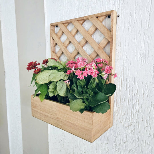 Wall Mounted Planter - Single Square