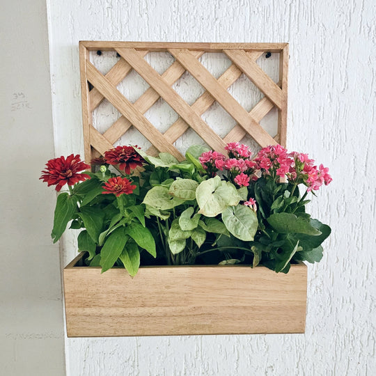 Wall Mounted Planter - Single Square